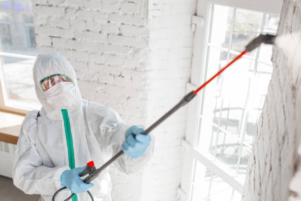 Reliable Dunwoody, GA Mold Inspection, Removal & Remediation Solutions