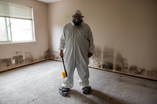 Environmental Consulting for Mold Prevention in Dunwoody, GA